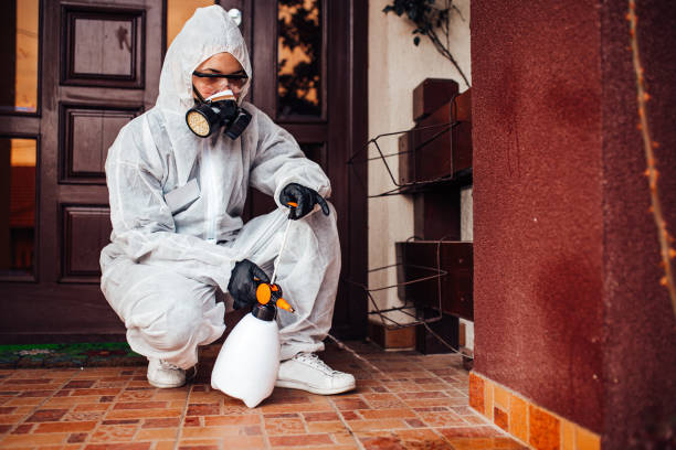 Reliable Ant Control contractor in Miami Beach, FL by Nex Pest Control