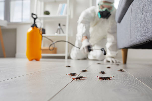 Trusted Cockroach Control service in Miami Beach, FL - Nex Pest Control